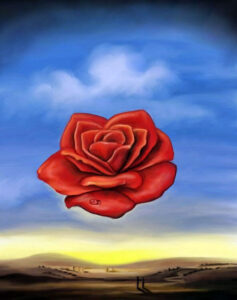 Dali - Rose médiative